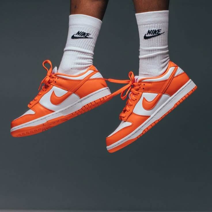 NIKE DUNK (15% OFF AL AGREGAR AO CARRITO)