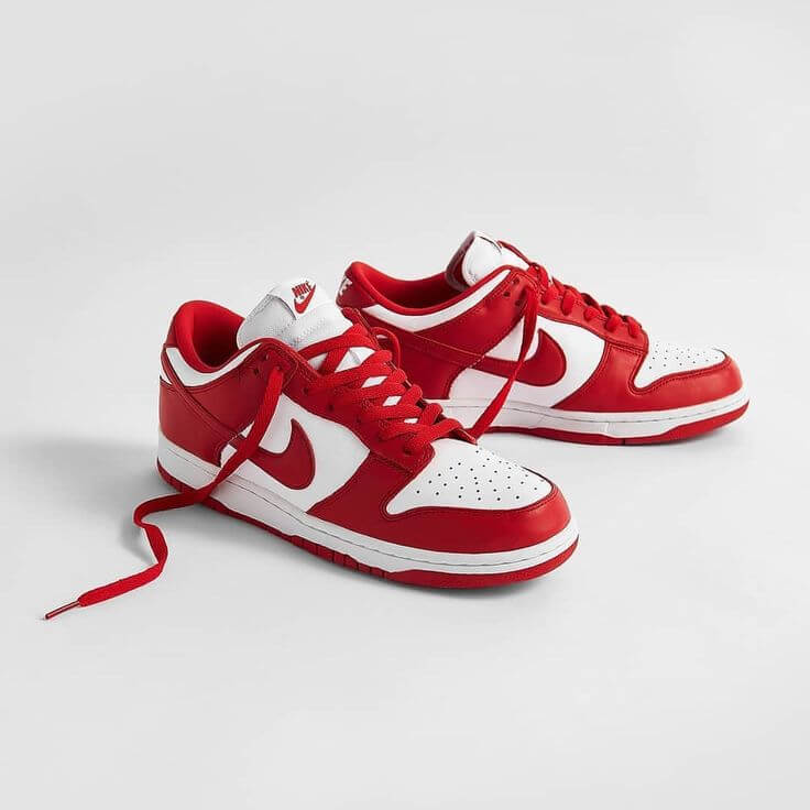 NIKE DUNK (15% OFF AL AGREGAR AO CARRITO)